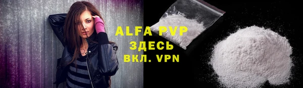 прущие грибы Козельск