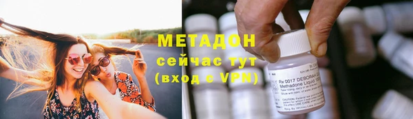 сатива Козловка